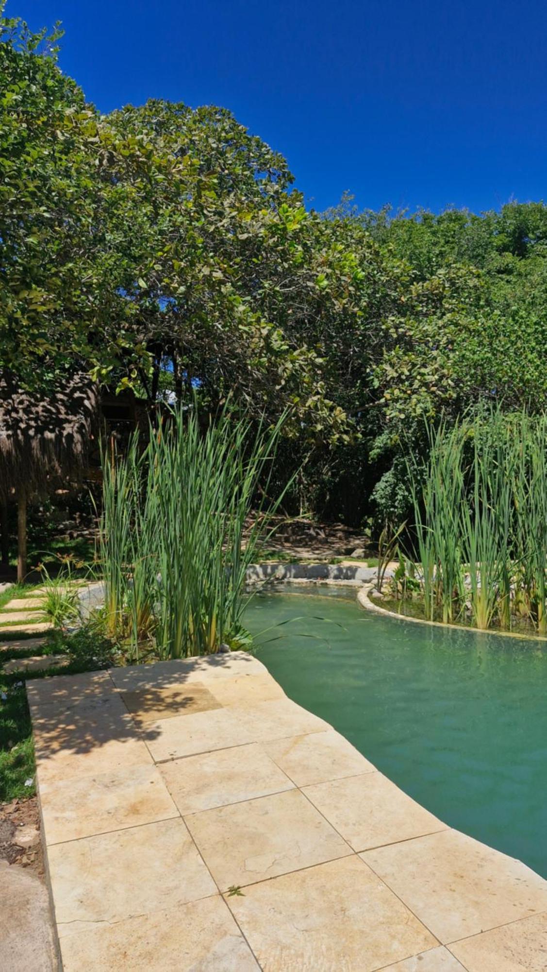 Camping Mapu Praia de Pipa